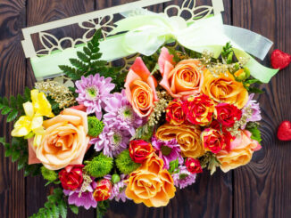 Quali fiori si regalano per il diploma di maturità?