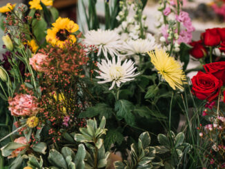 Il tuo punto di riferimento per fiori e piante a Milano