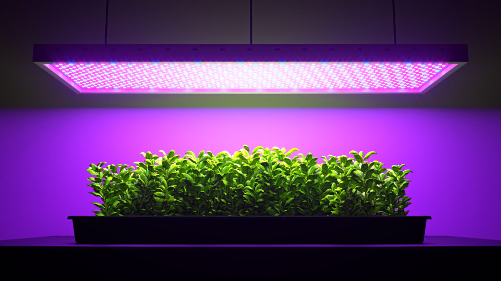 Come creare un giardino verticale in casa Come creare un giardino verticale in casa